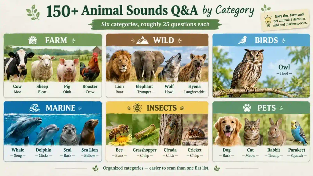 Animal Sounds Q&A by Category