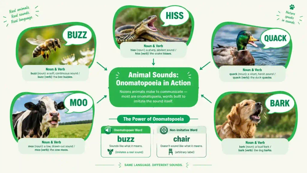 editorial infographic diagram explaining animal sounds with green accent shapes on off white background